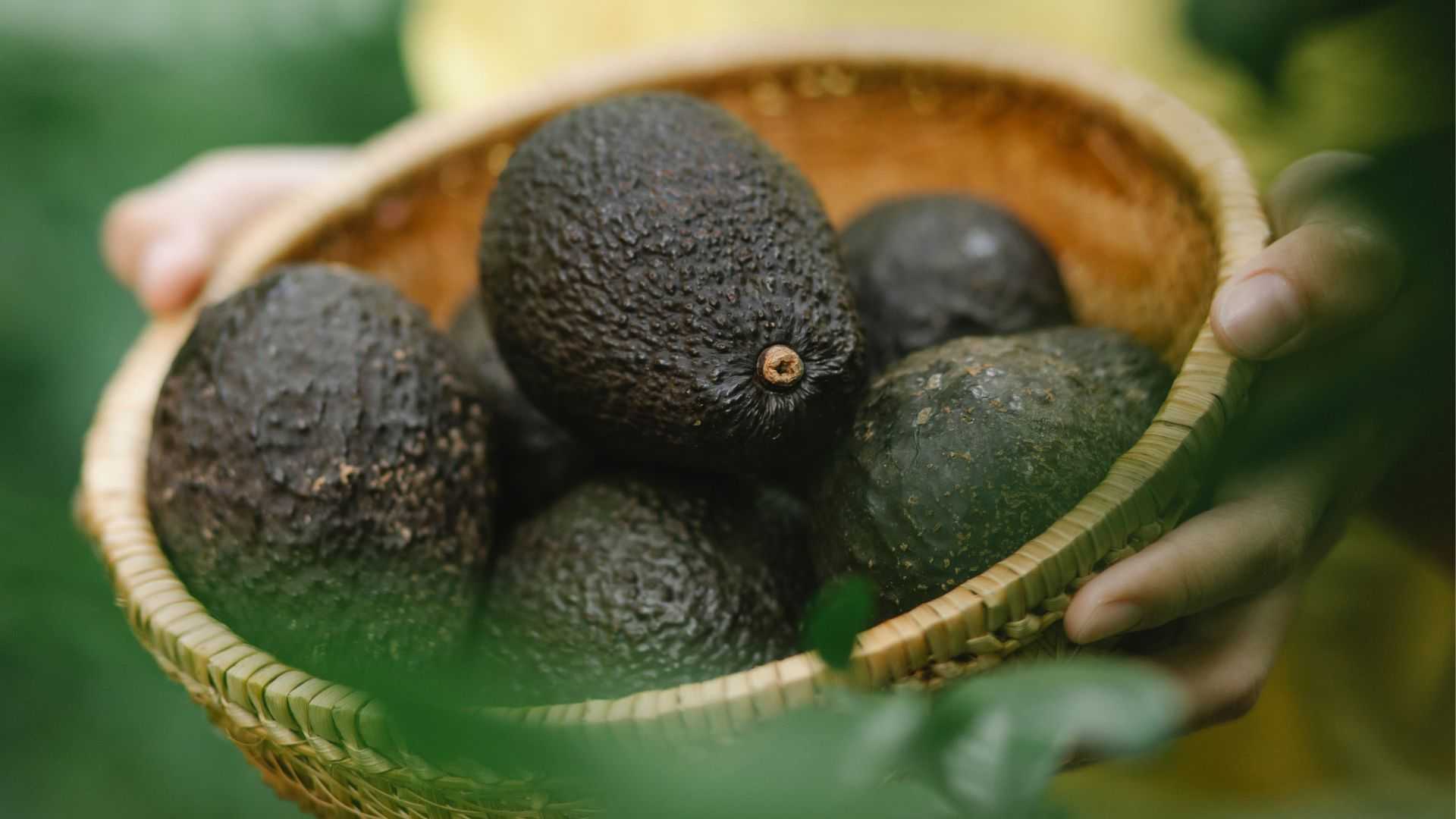 Avos in basket