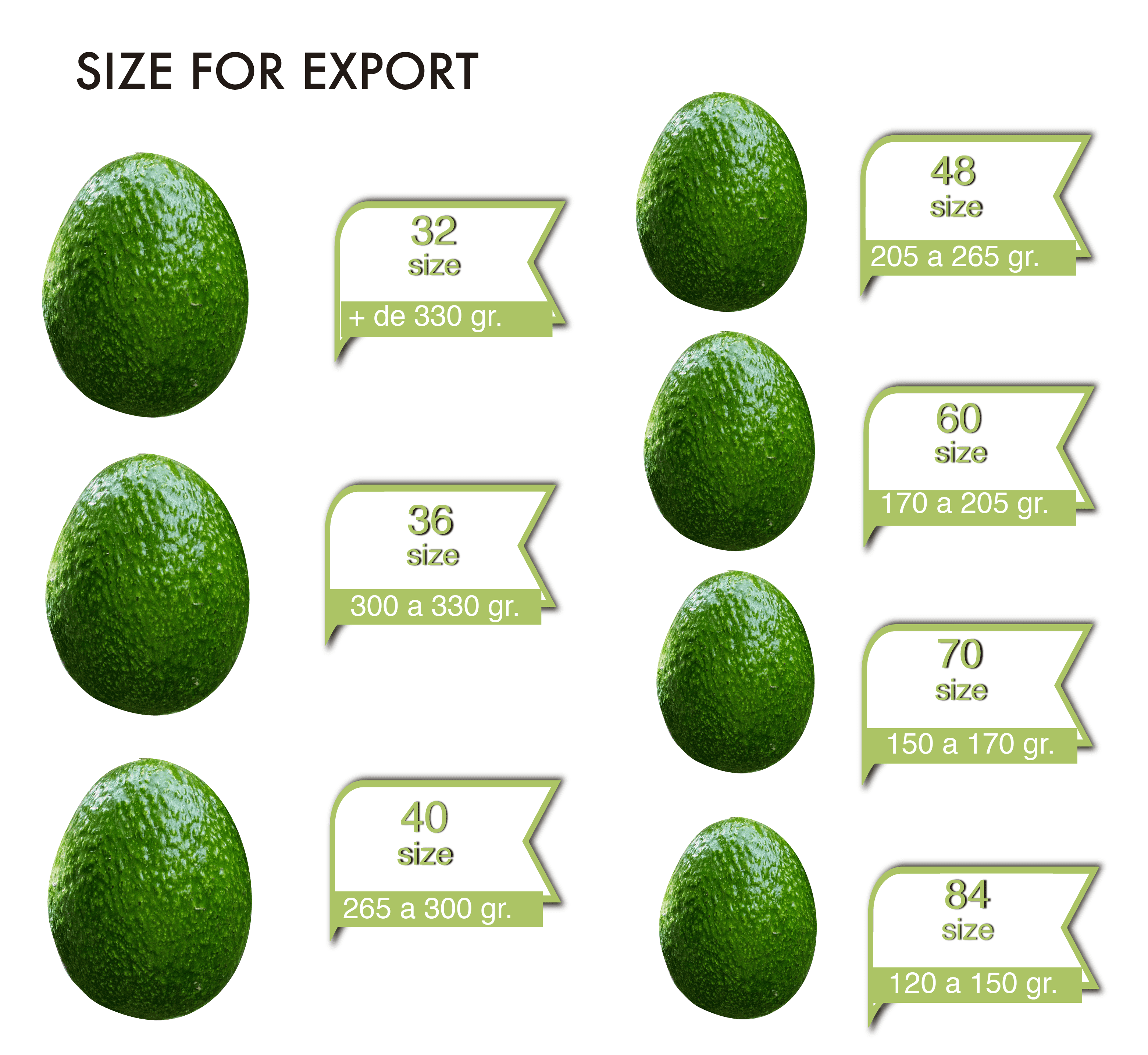 Sizes