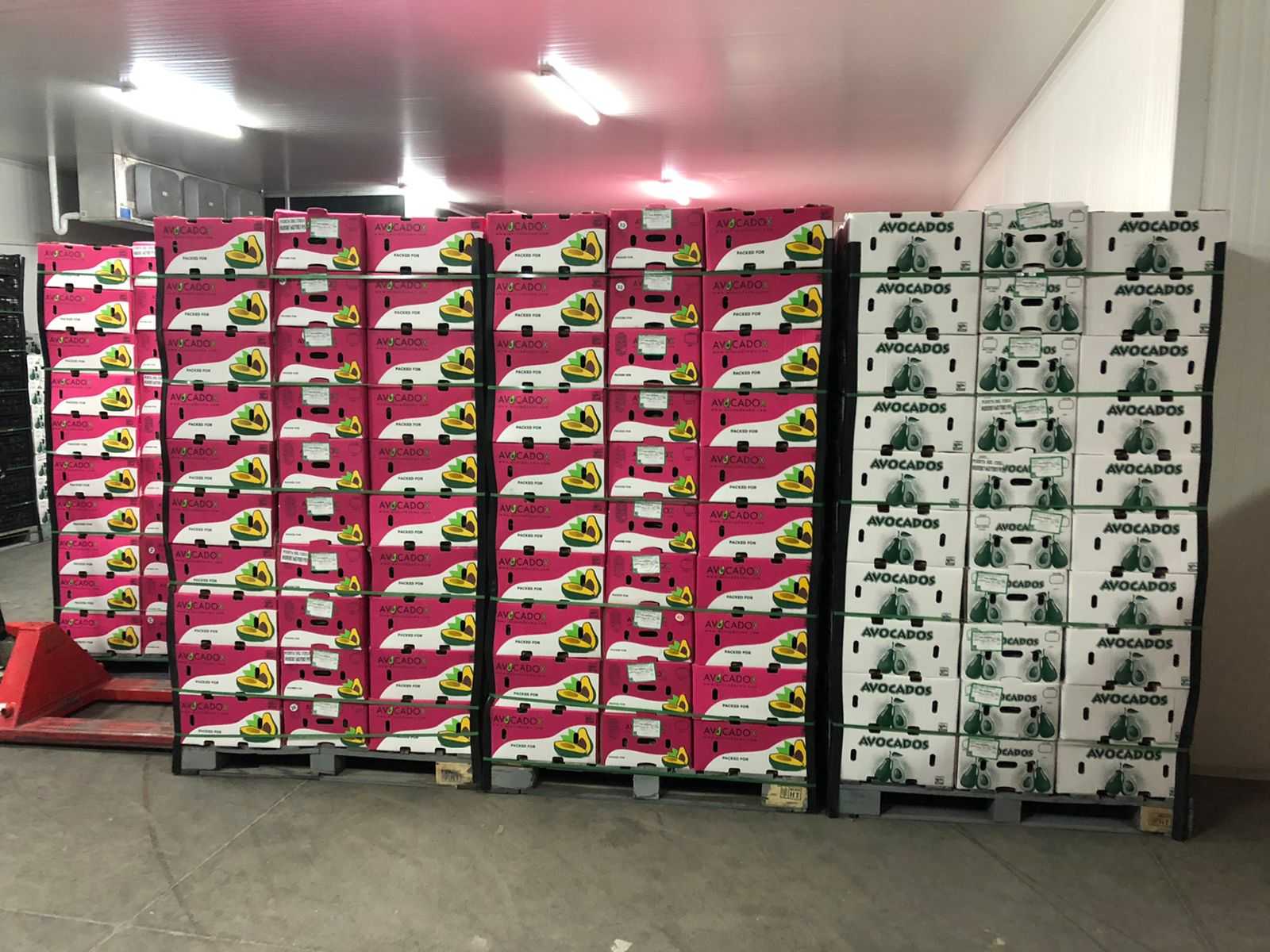 Pallets avos